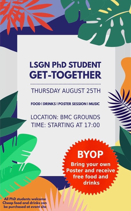 lsgn_get-together_poster
